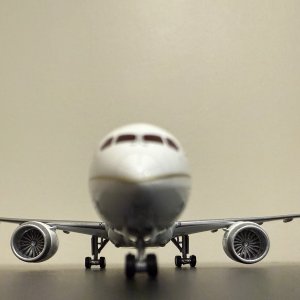 IMG_0452.jpeg