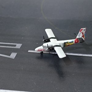 IMG_20250826_105550.jpg