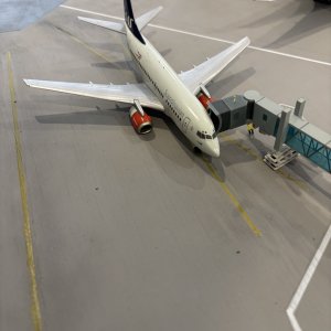 IMG_3349.jpeg