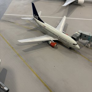 IMG_3350.jpeg