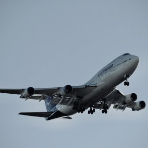 IMG_4486.jpeg