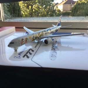 IMG_7223.jpeg
