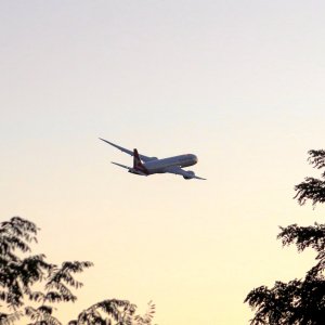 IMG_0178.jpeg