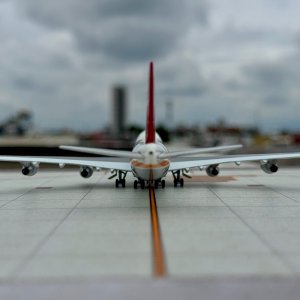IMG_4311.jpeg