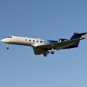 IMG_9803.jpeg