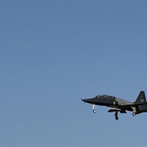 IMG_9795.jpeg