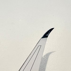 B-LXP Aero Polaris 4.jpg