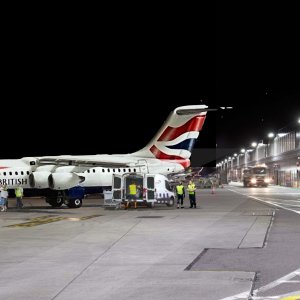 IMG_7814.jpeg