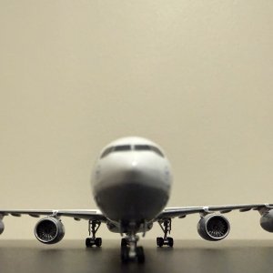 IMG_1834.jpeg
