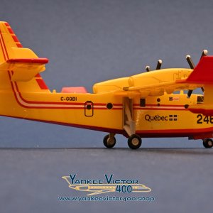 DSC_5833.jpg