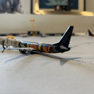 IMG_8681.jpeg