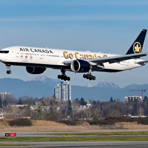AC777GoldWinter1 copy.jpg