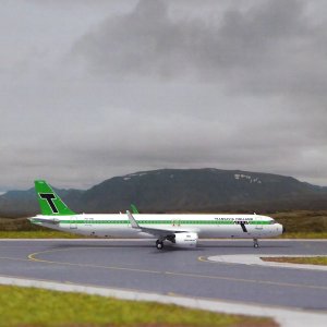 New Transavia_1.JPG