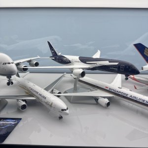 Media 'IMG_9533.jpeg' in category '1/200'