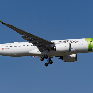 Screen Shot 2026-01-01 at 9.18.09 PM.png