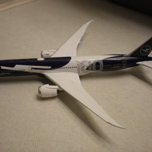 Media 'DSCN0355.JPG' in category '1/400'