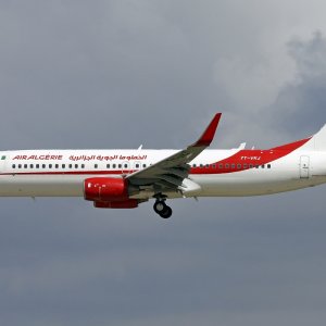 Air_Algerie_Boeing_737-800_7T-VKJ_ORY_2015-05-25.jpg