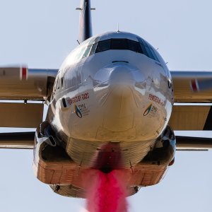 Coulson 2 (1 of 1).jpg