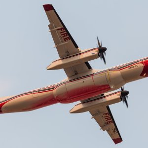  C-FFQE HR (1 of 1).jpg