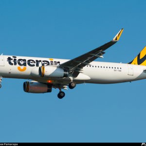 9v-trk-tigerair-airbus-a320-232-wl_PlanespottersNet_423344_4537863d70_o.jpg