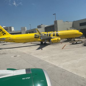 IMG_0336.jpeg