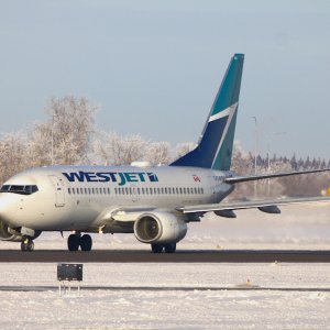 WS7371gimpR.jpg