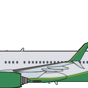 Braniff 737-800 Green.png