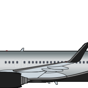 Braniff 737-800 Bare Metal Black.png