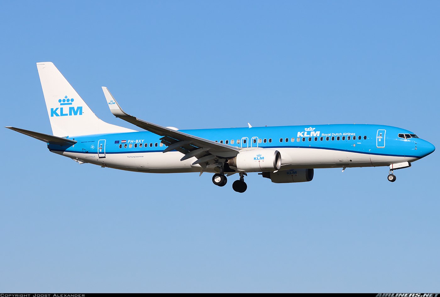 7818839.jpg