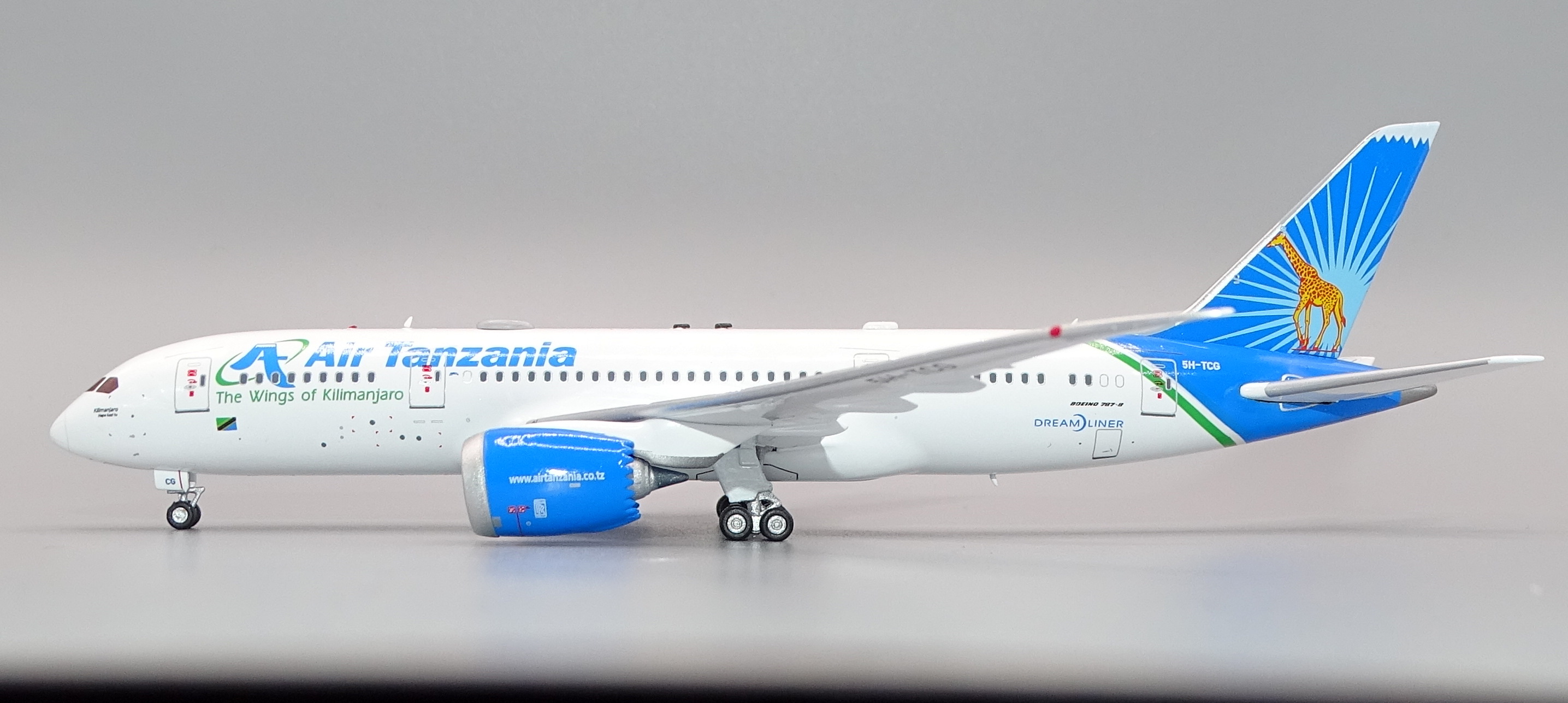 AIRTANZANIA_B788_12.JPG