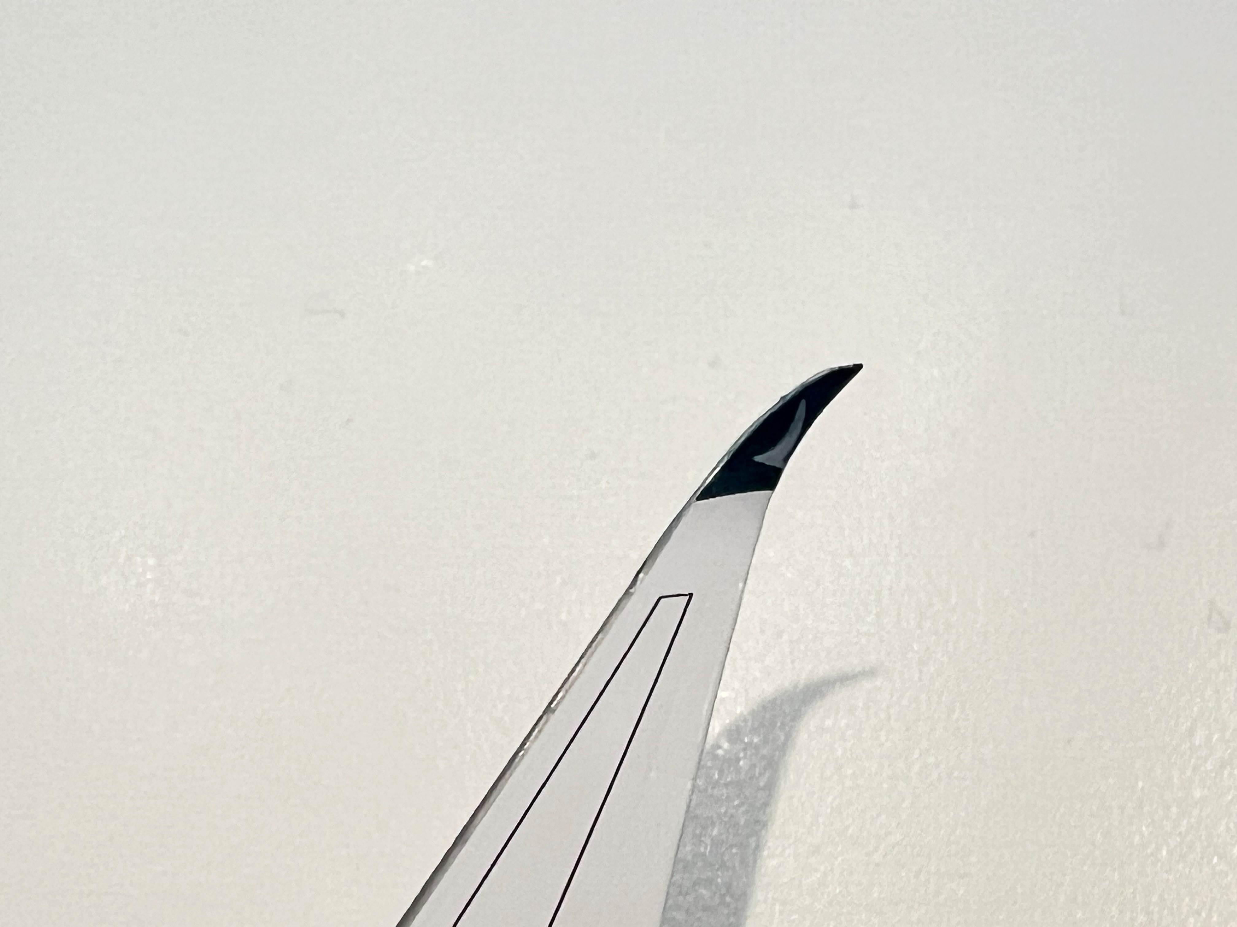 B-LXP Aero Polaris 4.jpg