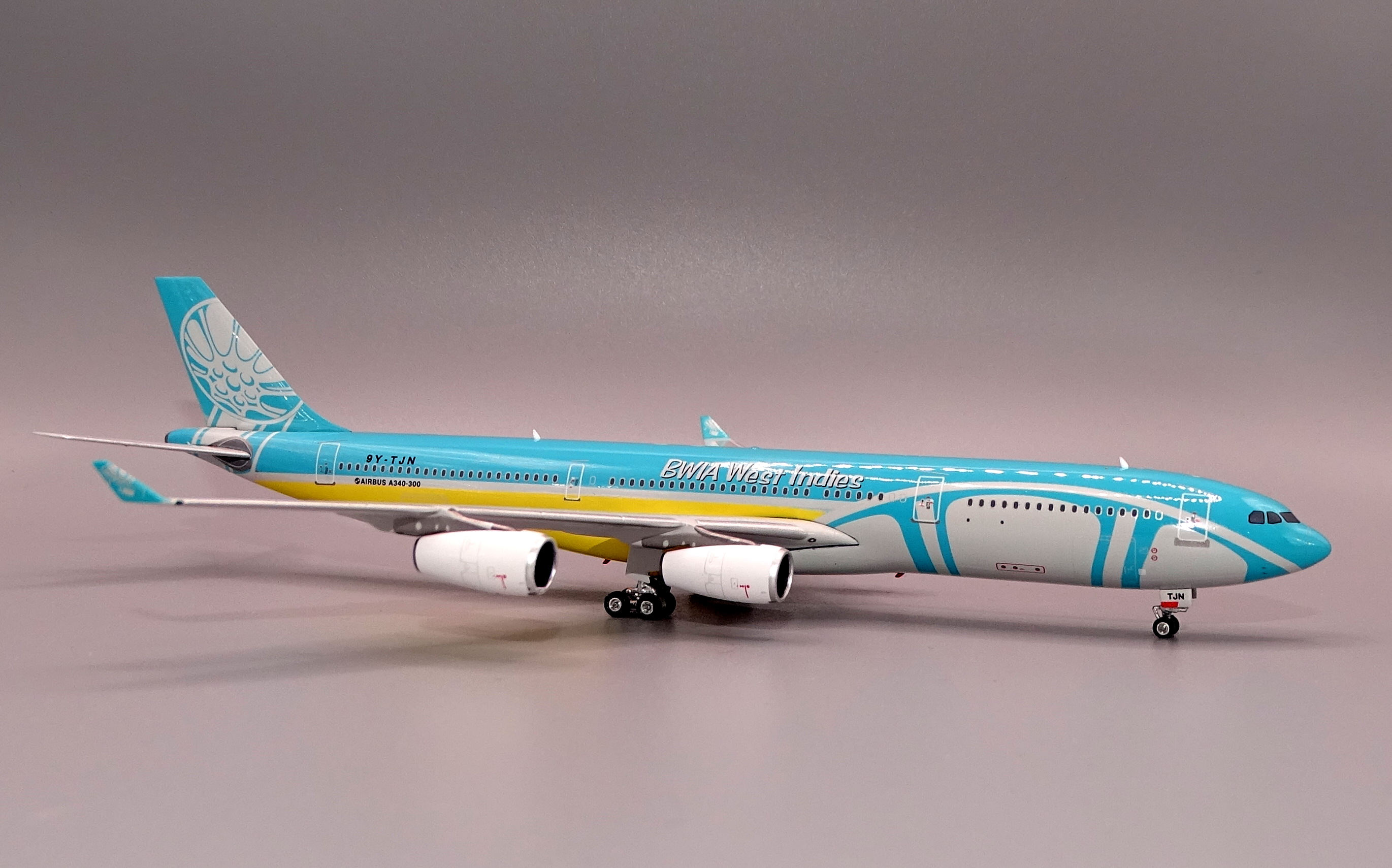 BWIA_A343_TJN_12.JPG