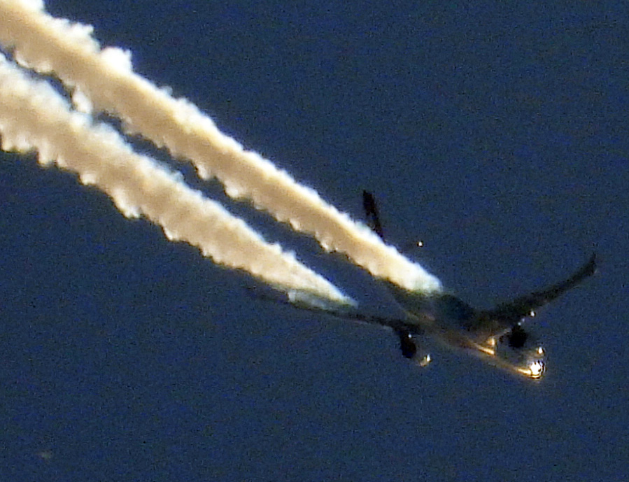 DSCN6736.JPG