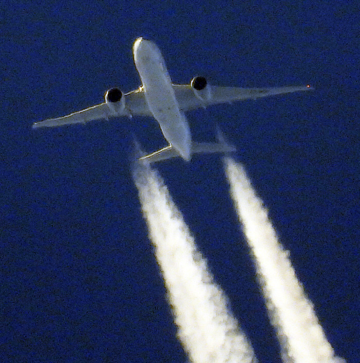 DSCN6790.JPG