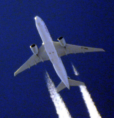 DSCN6800.JPG