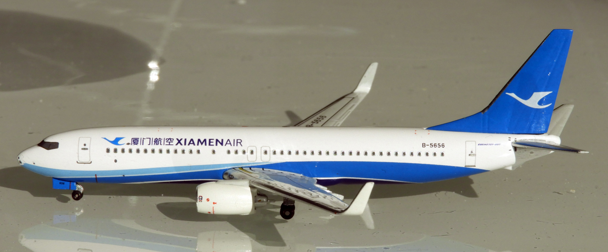 DSCN9145 - Copia.JPG