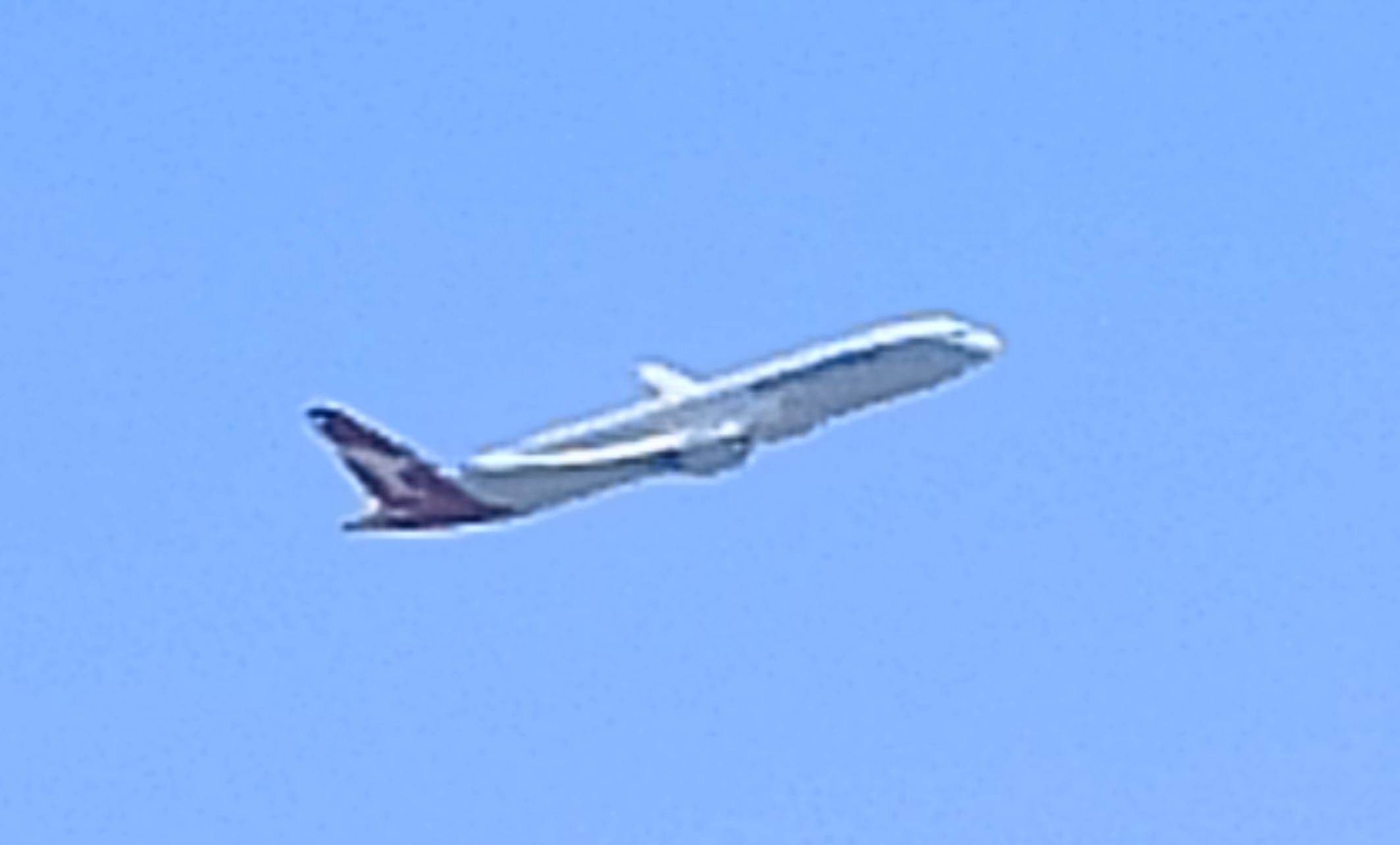 IMG_20250808_115422.jpg