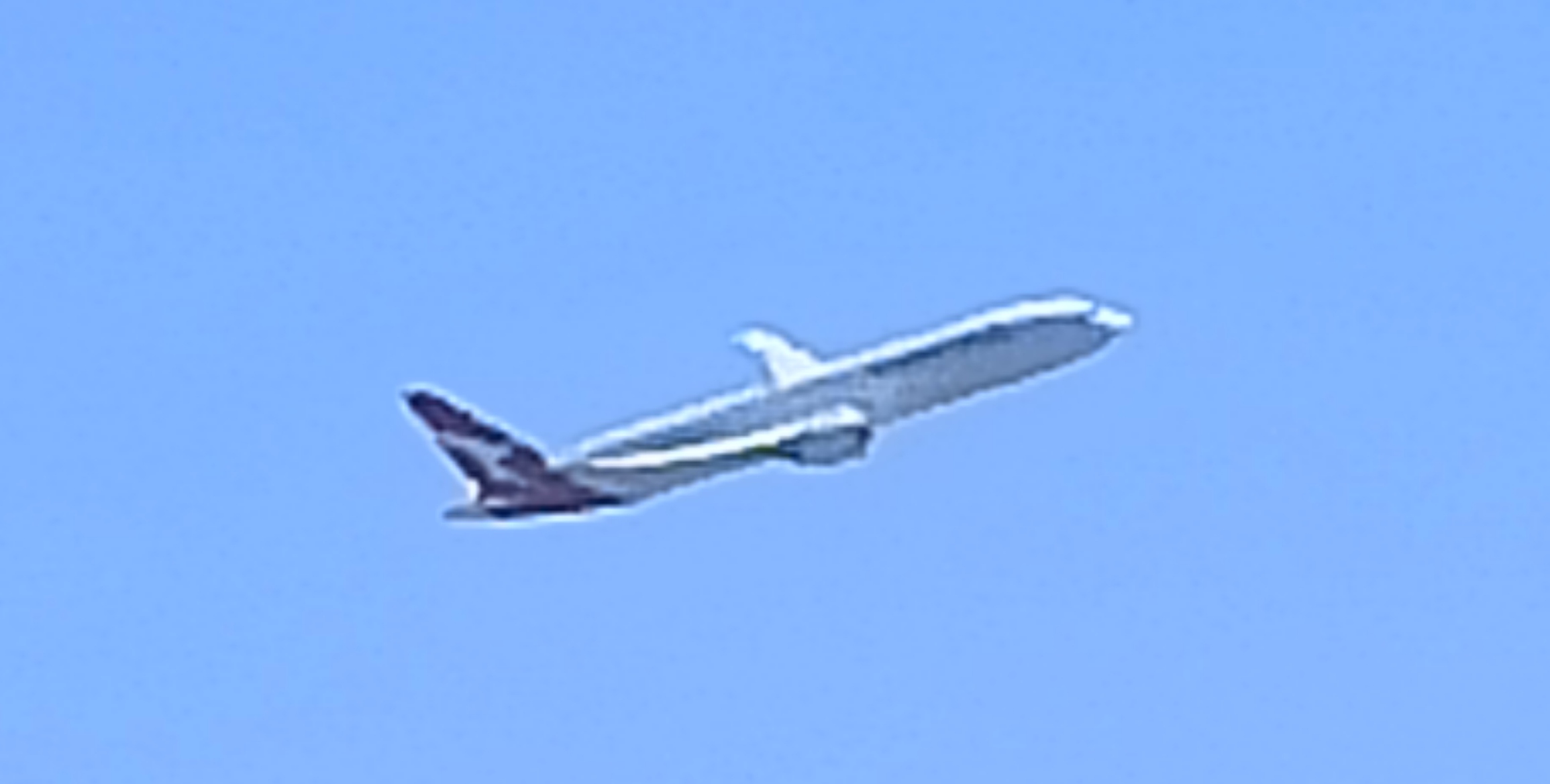 IMG_20250808_115443.jpg