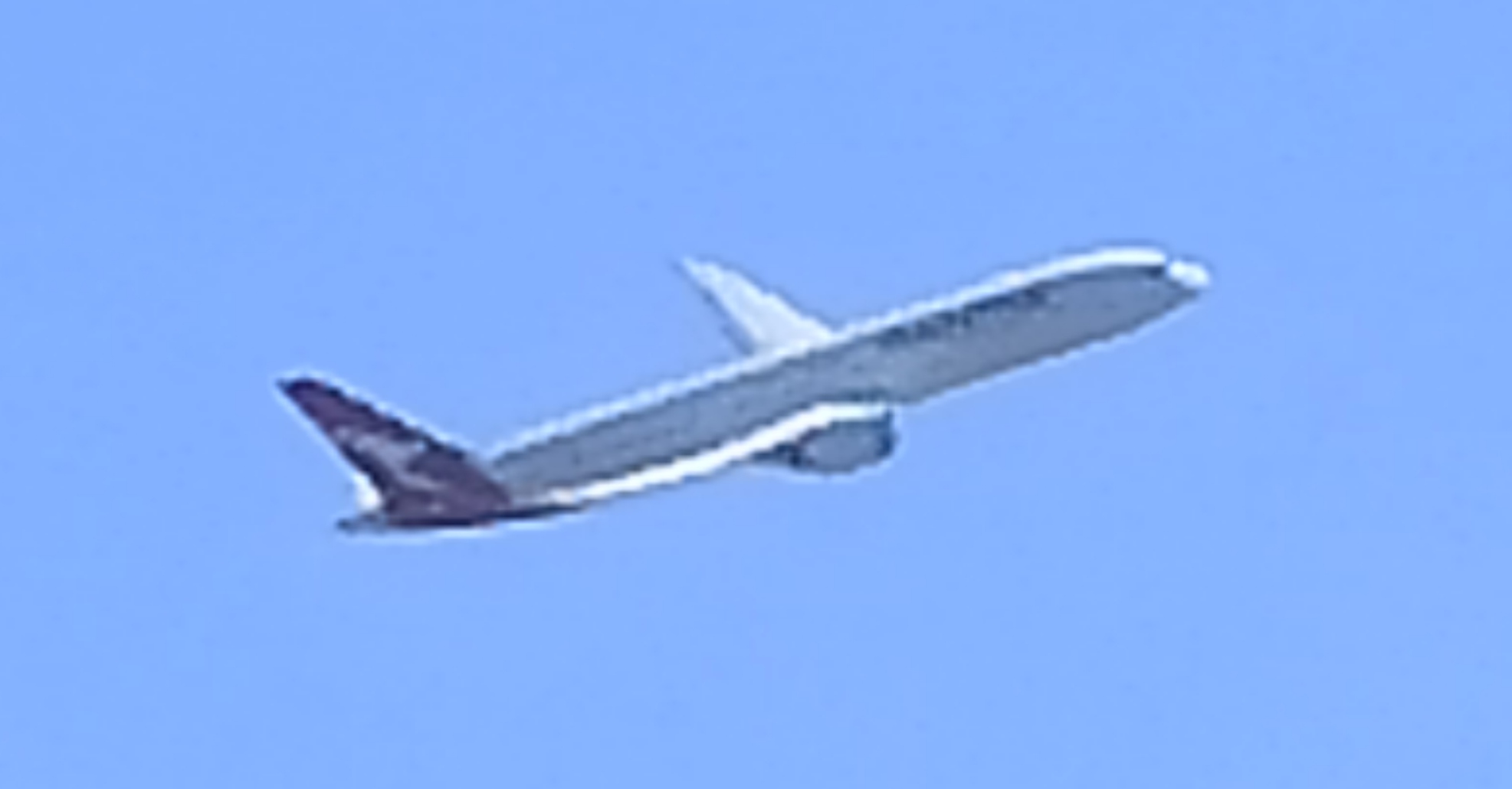 IMG_20250808_115520.jpg