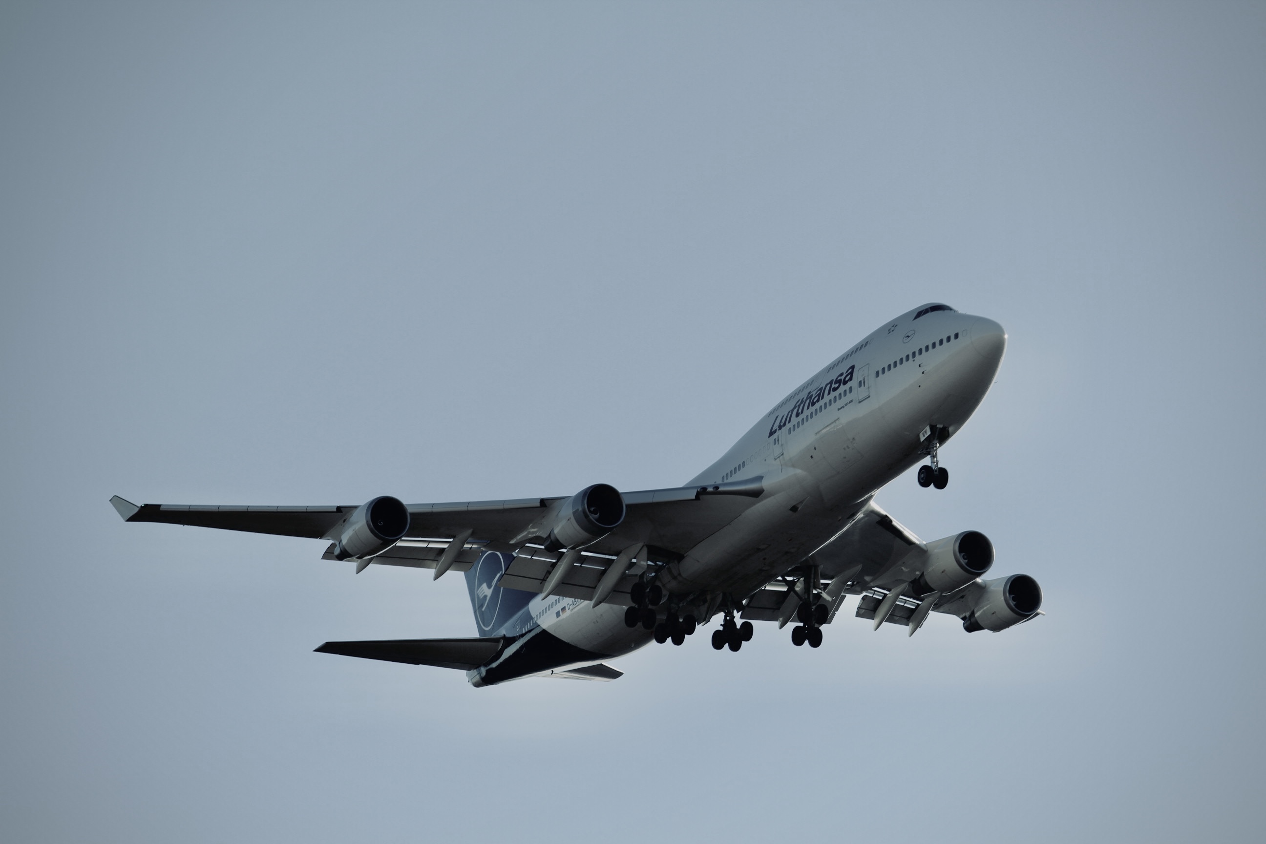 IMG_4486.jpeg