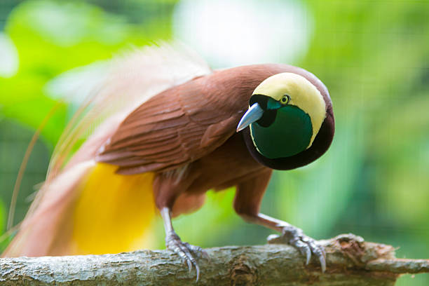 istockphoto-628216768-612x612.jpg