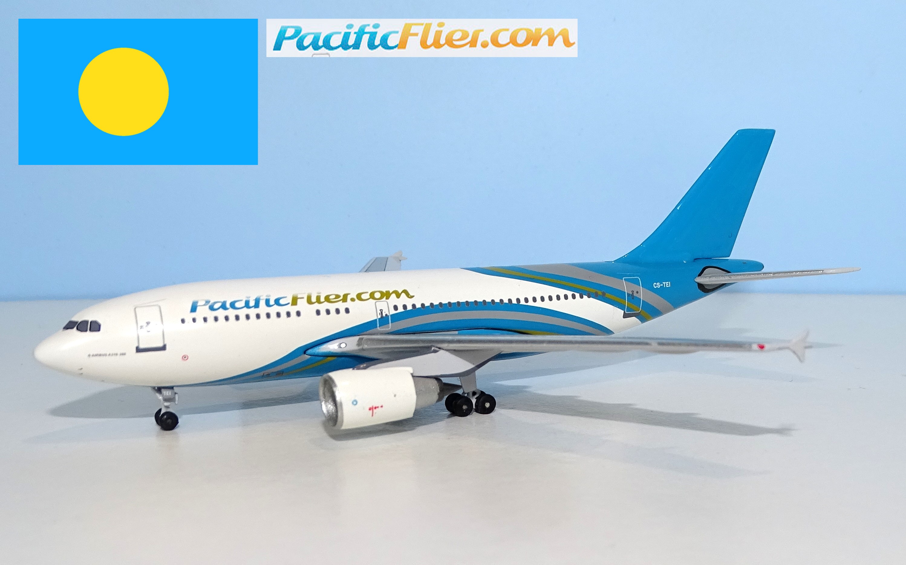 PACIFICFLIER_A310_HEAD.jpg