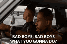 pp.gif
