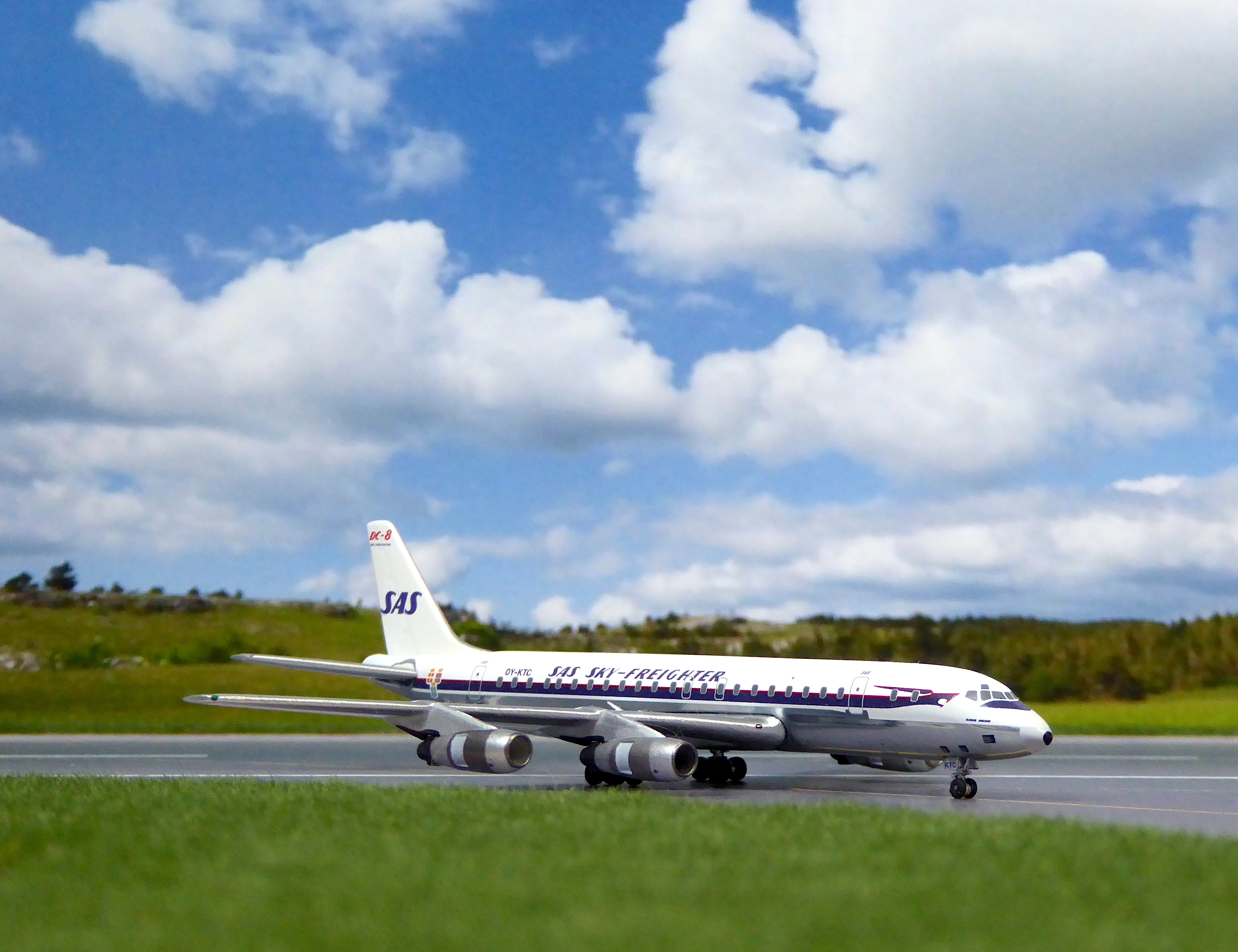 SAS DC-8 Vikings_4.JPG